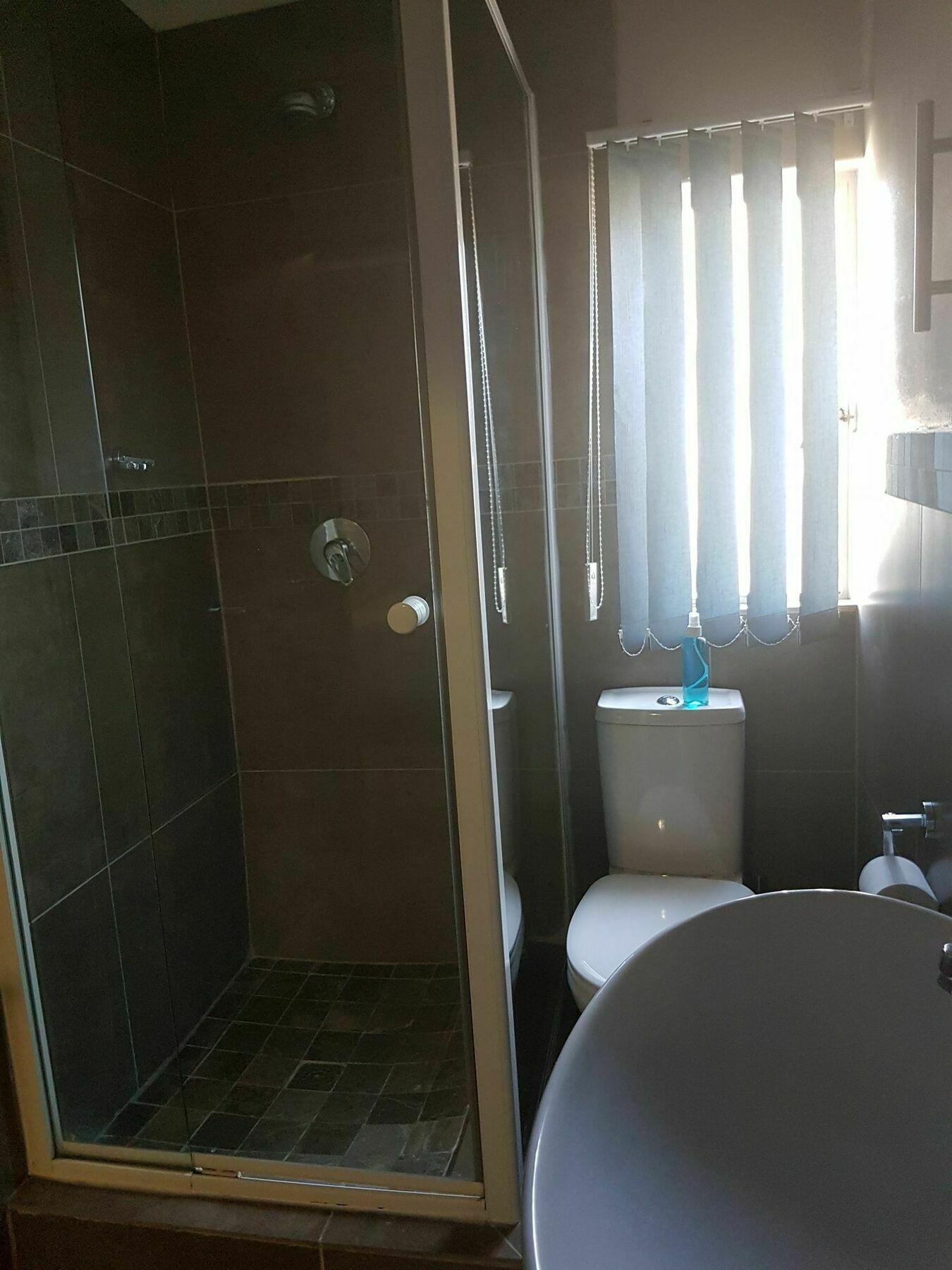 Blue Sparrow Guest House Middelburg  Ngoại thất bức ảnh